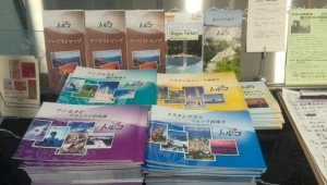 o0800045513155845161