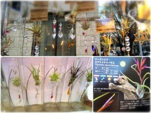 o0800060013154569942