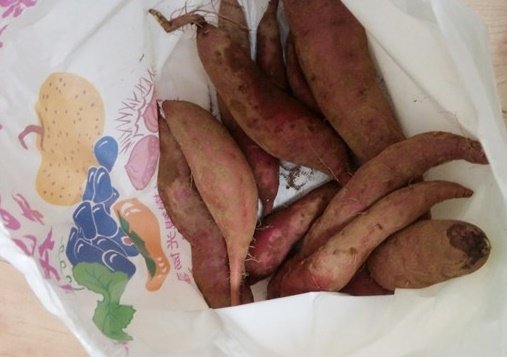 IMG_20151005_234931-1