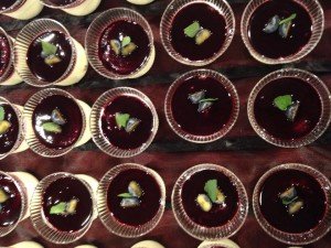 12243511_10203767884636510_1332603915636800411_n