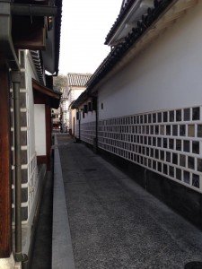 66437_10203918470441061_5207405552652409053_n (1)