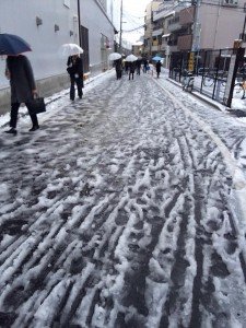 12647542_10204055761353248_581576189982610117_n