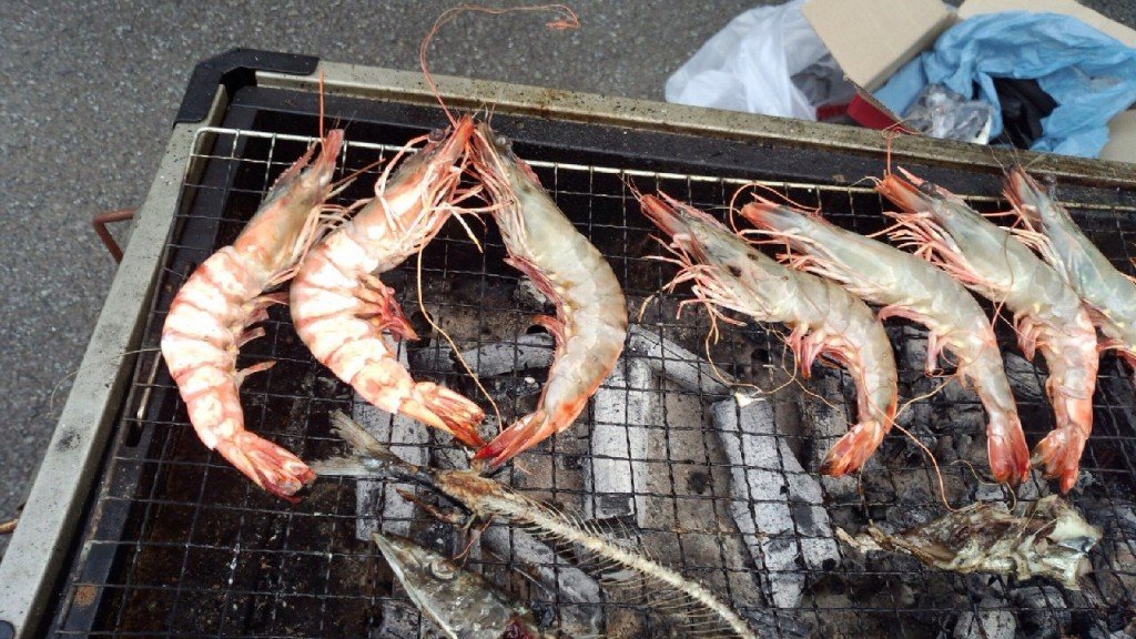 01adfeb909468c4ec18dbd599b8dc6c3f4fcd64a20