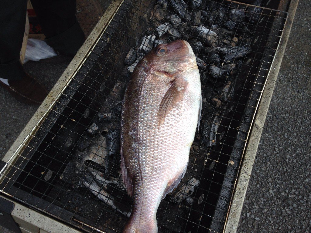 01f0ebf9a9a204fe1a4a3b3b94944147efefcd54fd