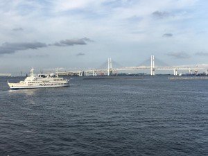 14492457_996230657153272_7288630953037745240_n