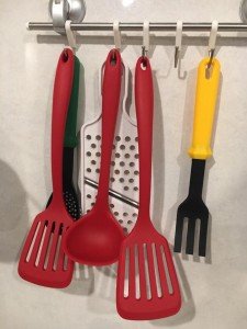 14666210_1022336897875981_2939534560519430020_n