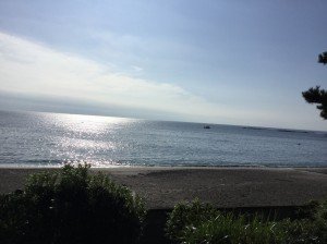 FB2598E8-AECD-4777-BF0D-445CAC255056