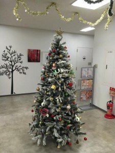 14963145_1038254579617546_3662613674177844052_n