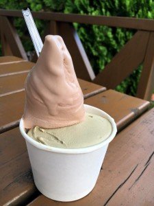 14329893_982543201855351_5368422243299933177_n