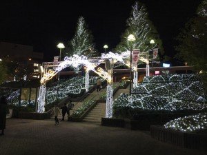 15220190_1061623733947297_8093301913090617290_n