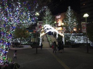 15285011_1061623707280633_8900108018953736902_n