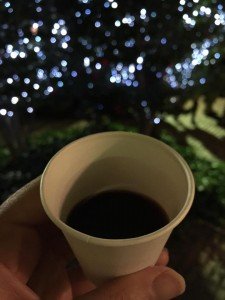 15665737_1082303085212695_8269545285355095953_n