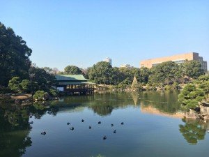 15747829_1085201074922896_2068159222357758985_n