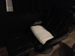 16997981_1139225846187085_4532232049215646293_n