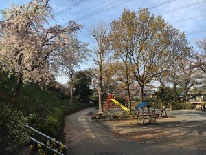 18058228_1192442850865384_6864779073629563515_n