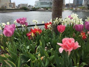 18118994_1197225227053813_7024053033057312822_n