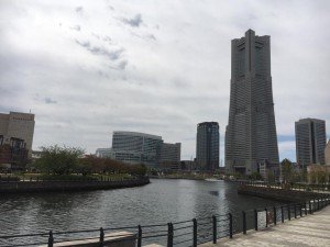 18156832_1197225230387146_7688199306880229685_n