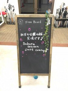 18194026_1197195403723462_3590639073164961684_n