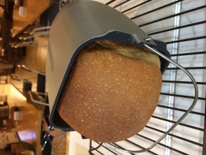 写真 2017-04-07 0 49 18