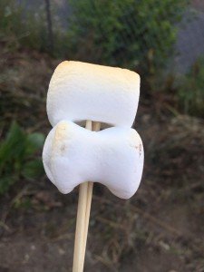 18699993_1222075731235429_575159476660580616_n