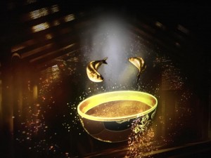 18740581_1225678500875152_4404416924392562534_n