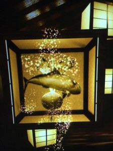 18765683_1225678587541810_4207351577834931225_n