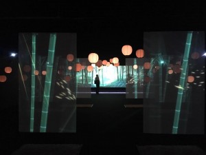 18766115_1225678204208515_6708257762186694736_n