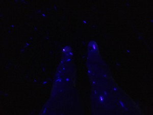 18766156_1225678427541826_9032808946156835852_n