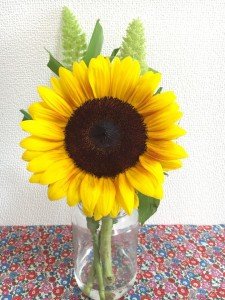 19424268_1250572088385793_7313615917208447855_n