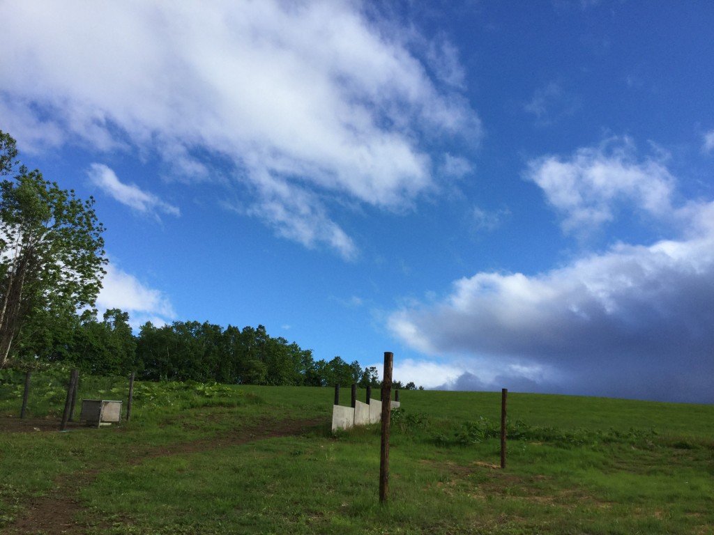 20170608_074639632_iOS