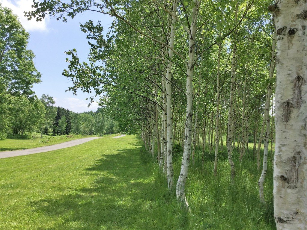 20170609_032713697_iOS