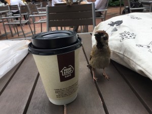 20170629_052452904_iOS