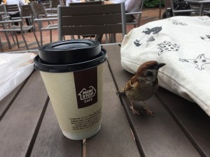 20170629_052456372_iOS