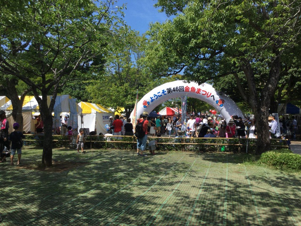 20170722_050037247_iOS