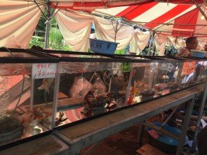 20170722_050204321_iOS