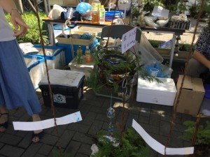 20170722_050412707_iOS