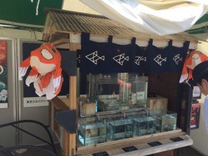 20170722_050744402_iOS