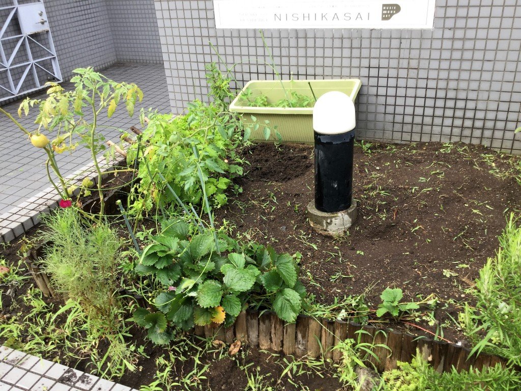 20170723_081416899_iOS (2)