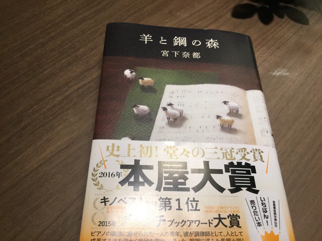 20170723_092728319_iOS