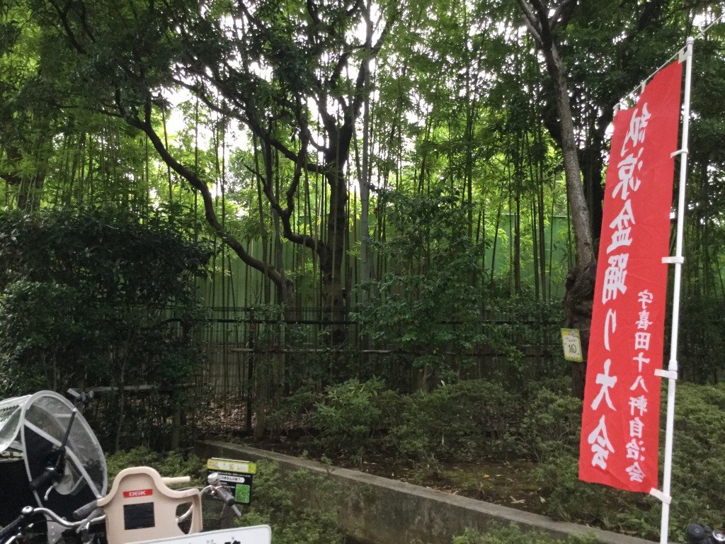 20170730_085029532_iOS