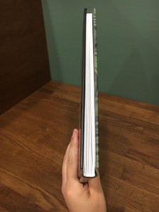 21231816_1309184705857864_9132884723947915641_n