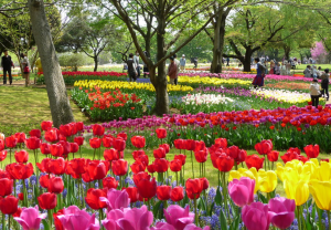 スクリーンショット 2017-08-17 13.54.51