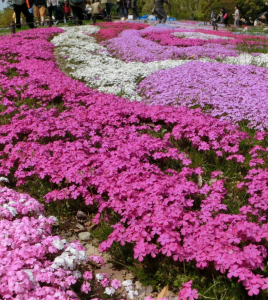 スクリーンショット 2017-08-17 13.55.06