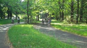 スクリーンショット 2017-08-17 13.55.15