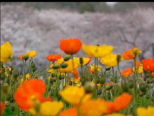 スクリーンショット 2017-08-17 13.55.25