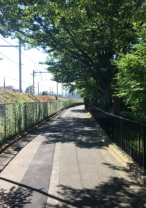 スクリーンショット 2017-08-17 18.43.36