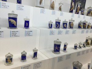 20170908_100844876_iOS