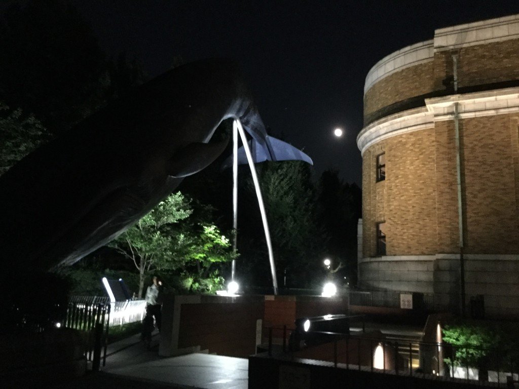 FF1B47D2-FE46-46E1-BB5B-CAC56BE83D6D