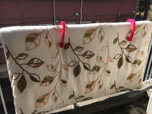 23844828_1383655218410812_4265416933487864399_n