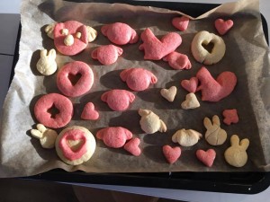 25660326_1410412849068382_8370410375267831676_n